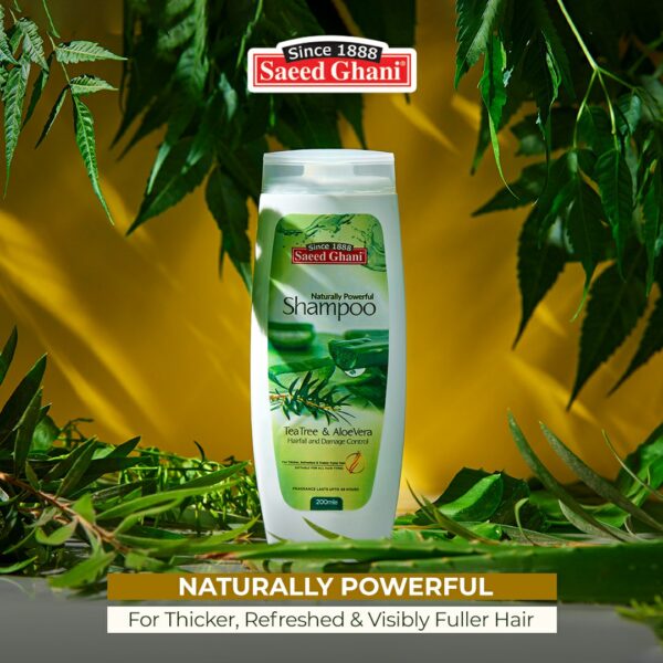 Saeed Ghani Tea Tree & Aloe Vera Shampoo – Hairfall & Damage Control – 200ml - Image 2