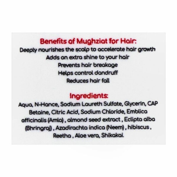 Saeed Ghani Mughziat Shampoo – Extra Nourishment, Revitalizing & Nourishing Hair Care – 200ml - Image 3