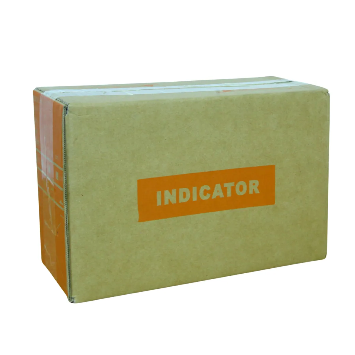 Indicator Model AE-IND-8205 - Image 7